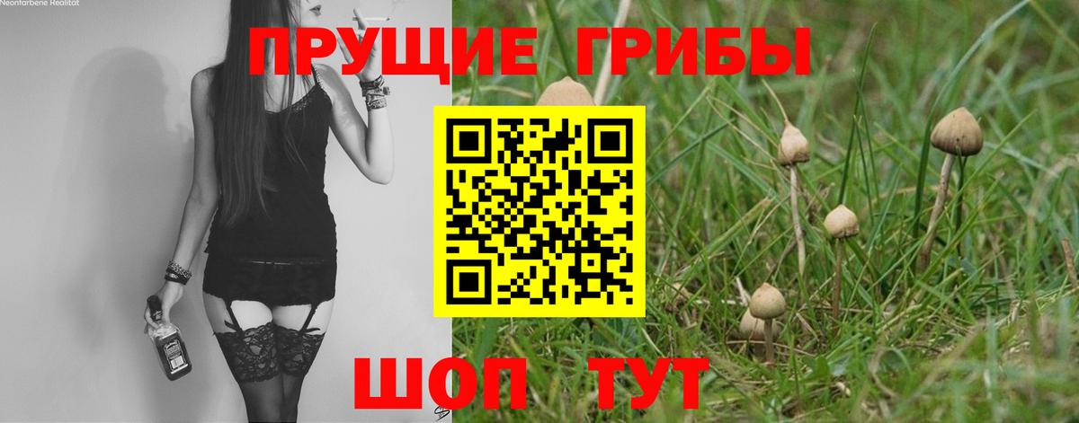 сколько стоит  Псилоцибиновые грибы Psilocybine cubensis  Вход с VPN  Морозовск 