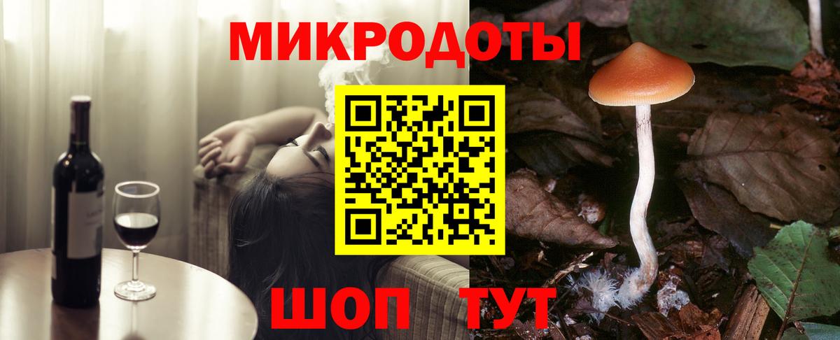 Псилоцибиновые грибы Psilocybe Морозовск